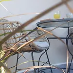 Apartman Avra Loft